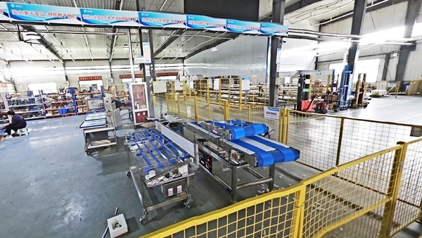 نبذة عن الشركة