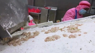 ماكينة تقطيع اللحوم الطازجة إلى شرائح لعميل في كوستاريكا