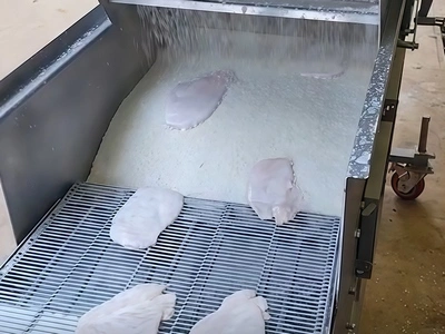 تغطية شرائح الدجاج بالبقسماط