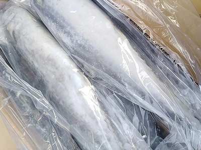 تغليف الأسماك بالثلج